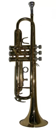 Pierre Cesar M5210М помповая труба Bb, золото