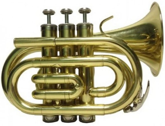 Pierre Cesar JBMT-510 труба компактная Bb, лак