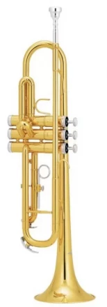 Pierre Cesar JBTR-300L труба Bb, лак