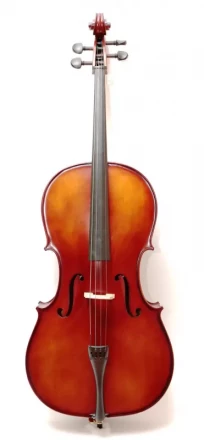 Pierre Cezar MC6015 4/4 студенческая виолончель