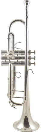 Pierre Cesar M5211MS помповая труба Bb, серебро