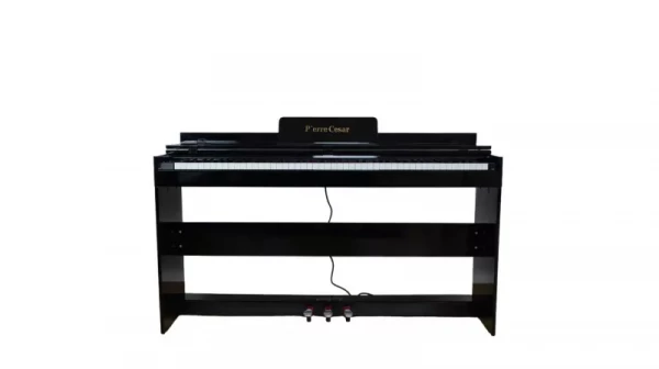 Pierre Cesar XY-8813-H-BK цифровое фортепиано, 88 клавиш, на ножках, черное