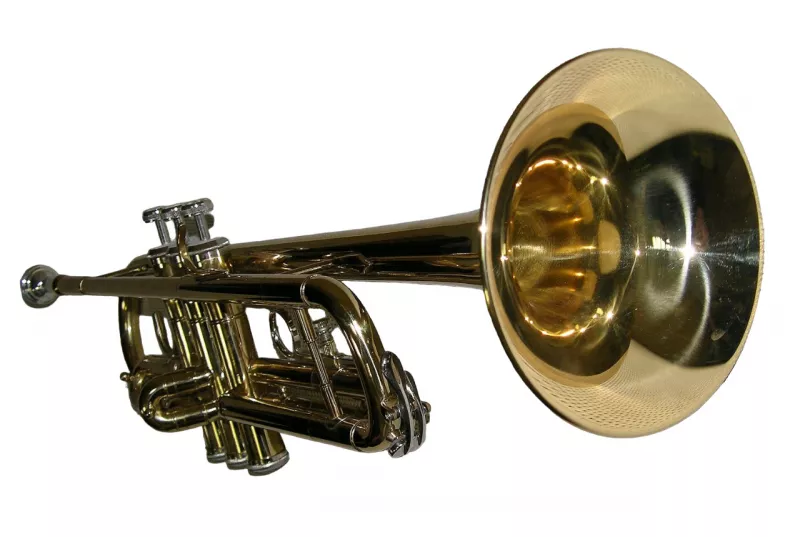 Pierre Cesar M5210М помповая труба Bb, золото