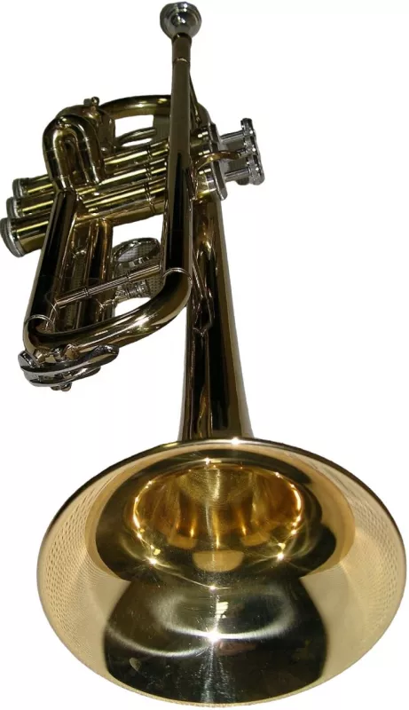 Pierre Cesar M5210М помповая труба Bb, золото