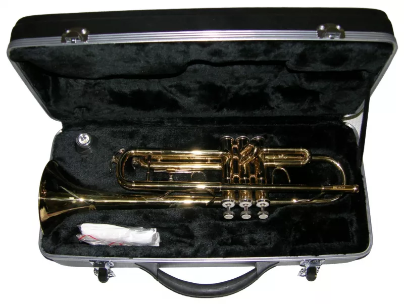 Pierre Cesar M5210М помповая труба Bb, золото