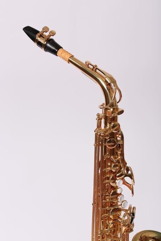 Pierre Cesar JBAS-260L альт саксофон Eb, лак