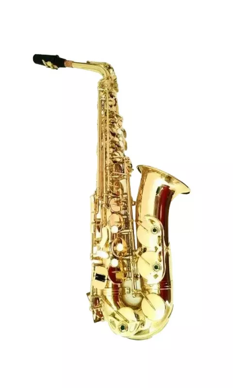 Pierre Cesar JBAS-270L альт саксофон Eb, лак