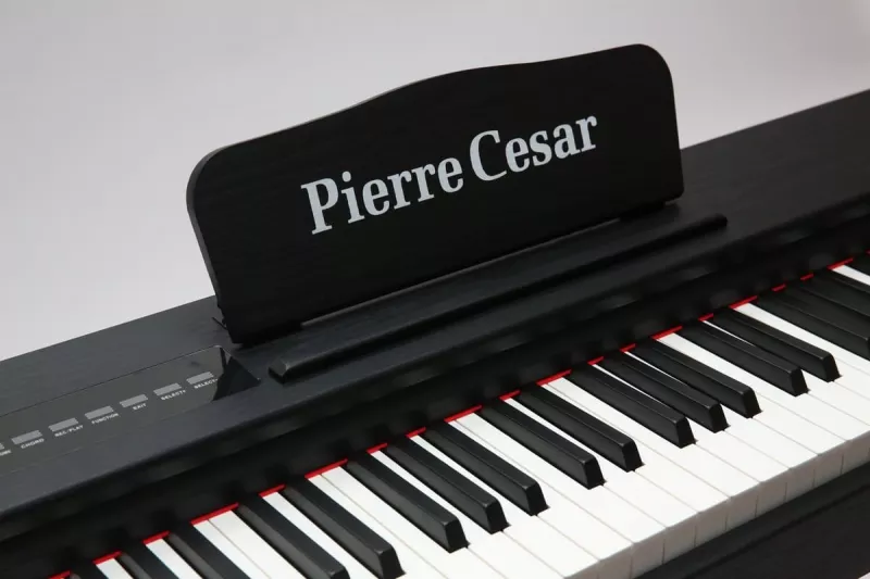 Pierre Cesaг M430E BK цифровое фортепиано, 88 клавиш, черное
