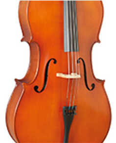Pierre Cezar MC6016 1/2 студенческая виолончель
