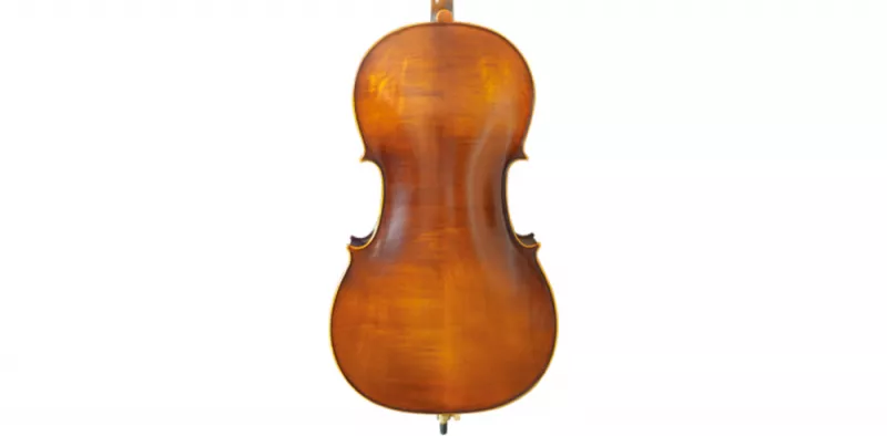 Pierre Cezar MC6016 1/2 студенческая виолончель