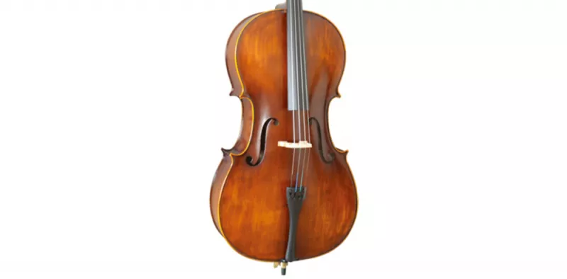 Pierre Cezar MC6016 1/2 студенческая виолончель